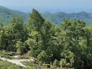 GVL A winding dirt path runs through a lush green forest in Upstate, with rolling hills and mountains covered in dense trees under a hazy blue sky—the perfect scene for a SC7 outdoors expedition.