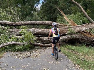 GVL A cyclist wearing a helmet and backpack encounters a large fallen tree blocking the paved trail in a wooded area, highlighting the importance of emergency preparedness as broken branches and debris are scattered on the path.
