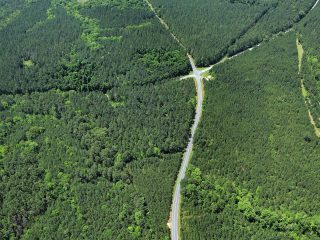 GVL Aerial view of a road cutting through a dense, green forest in Laurens County with a crossroads visible in the center, surrounded by trees and patches of lighter green vegetation protected by a conservation easement.