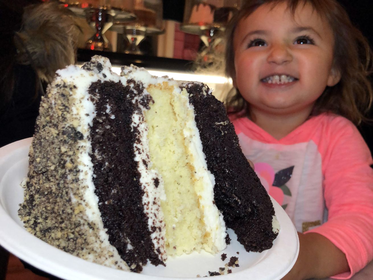 GVL A smiling young child in a pink shirt excitedly looks at a large slice of layered chocolate and vanilla cake with white frosting, dreaming of the best cake slices NYC has to offer.